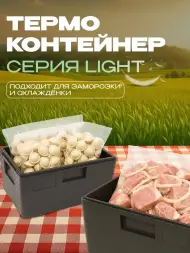 Термоконтейнер TERMOBOX Облегченный Light, 14 л, 400х300х220 мм, 30кг/м3