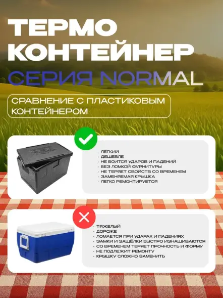 Термоконтейнер TERMOBOX Бытовой Normal, 14 л, 400х300х220 мм, 40кг/м3