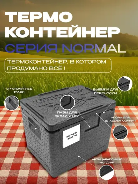 Термоконтейнер TERMOBOX Бытовой Normal, 14 л, 400х300х220 мм, 40кг/м3