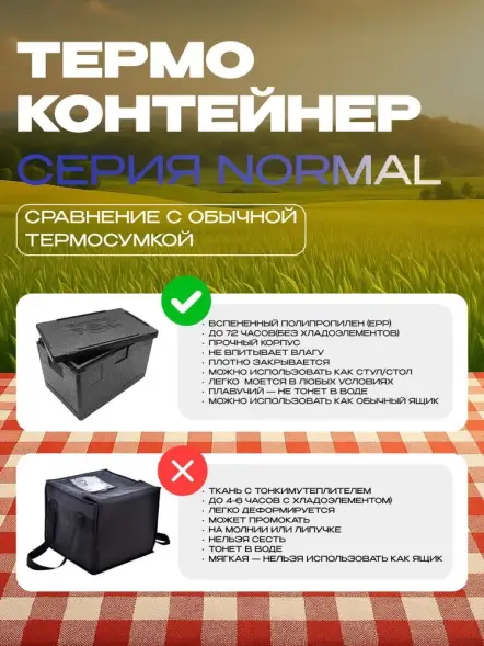 Термоконтейнер TERMOBOX Бытовой Normal, 14 л, 400х300х220 мм, 40кг/м3