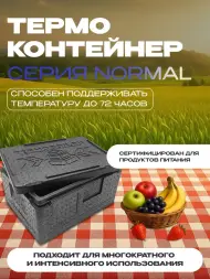 Термоконтейнер TERMOBOX Бытовой Normal, 22 л, 400х300х320 мм, 40кг/м3