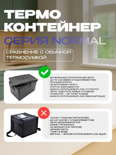 Термоконтейнер TERMOBOX Бытовой Normal, 46 л, 600х400х320 мм, 40кг/м3