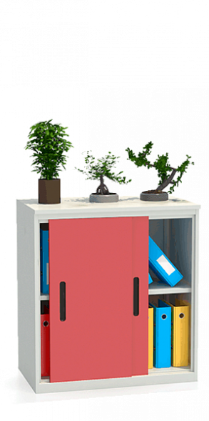 Шкаф-купе архивный ALS-8896