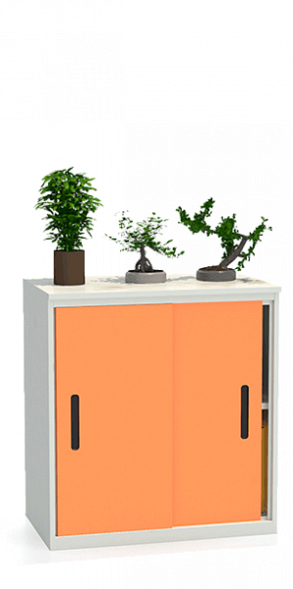 Шкаф-купе архивный ALS-8896