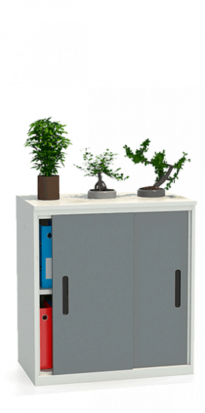 Шкаф-купе архивный ALS-8896