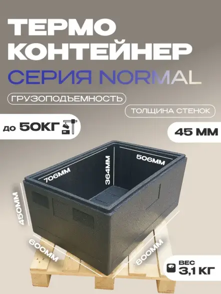 Термоконтейнер TERMOBOX Бытовой Normal, 131 л, 800х600х450 мм, 40кг/м3