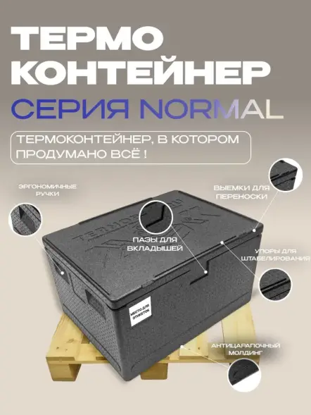 Термоконтейнер TERMOBOX Бытовой Normal, 131 л, 800х600х450 мм, 40кг/м3