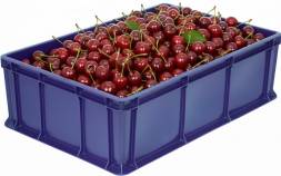 Ящик пластиковый сплошной, 600x400x180 мм, 35 л, синий [706.03.02]